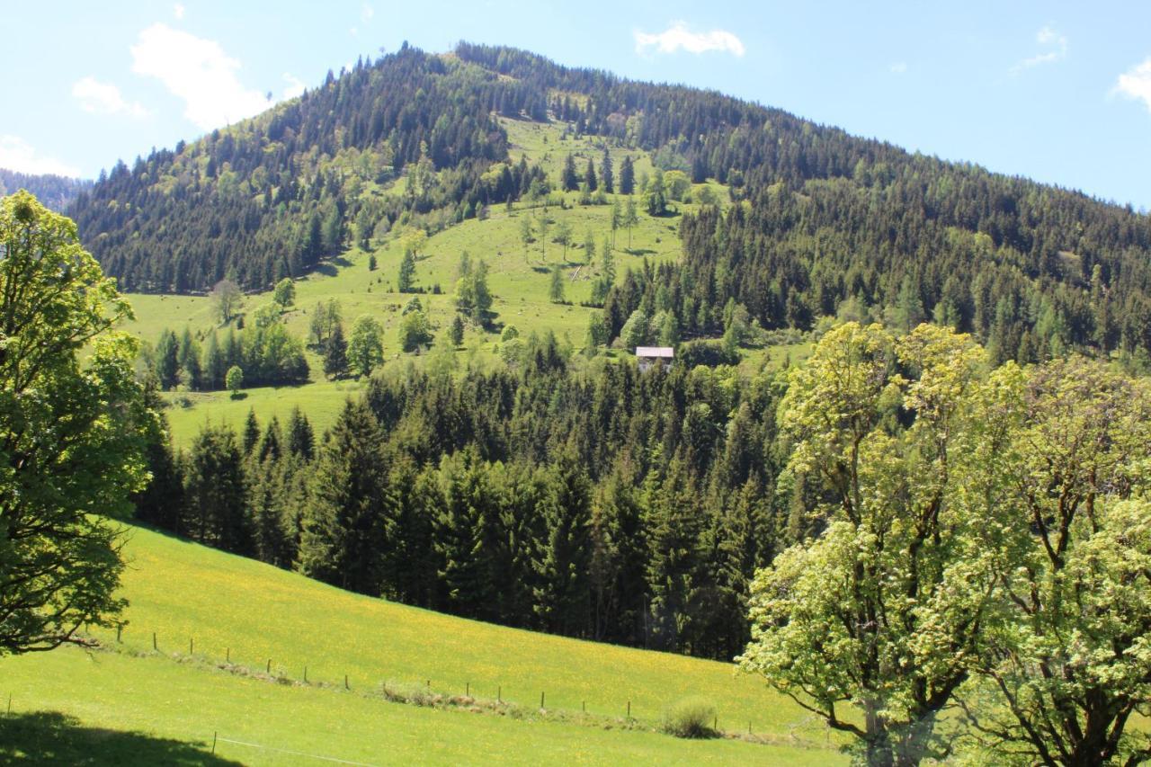 Zauneralm Aich  Buitenkant foto