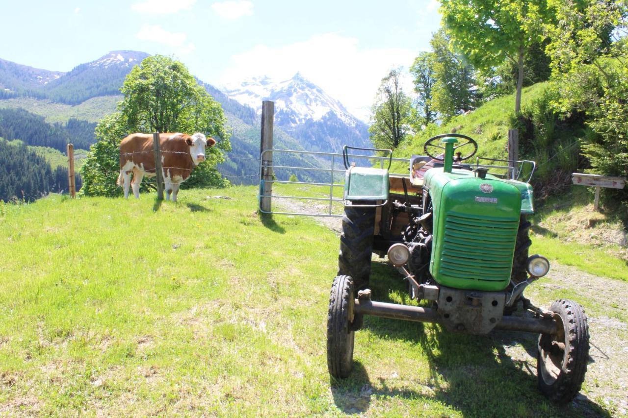 Zauneralm Aich  Buitenkant foto